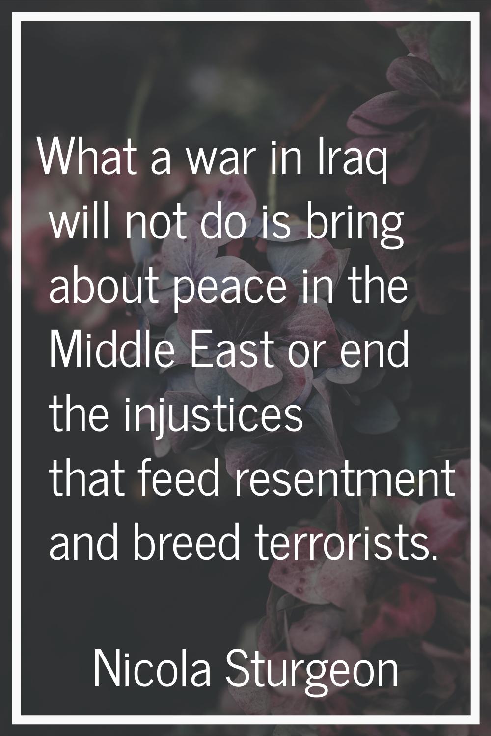 What a war in Iraq will not do is bring about peace in the Middle East or end the injustices that f