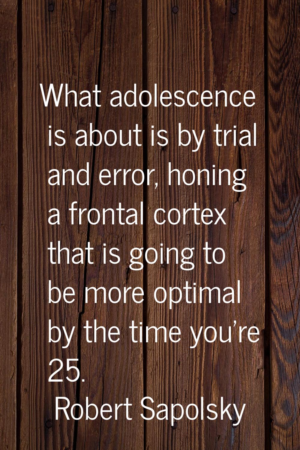 What adolescence is about is by trial and error, honing a frontal cortex that is going to be more o