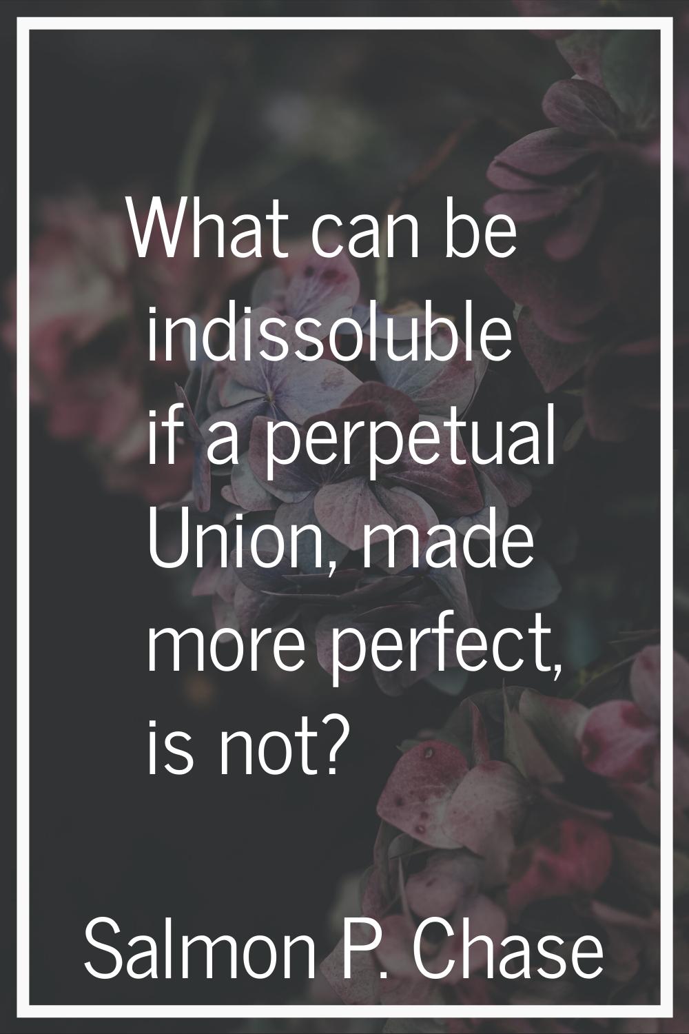 What can be indissoluble if a perpetual Union, made more perfect, is not?
