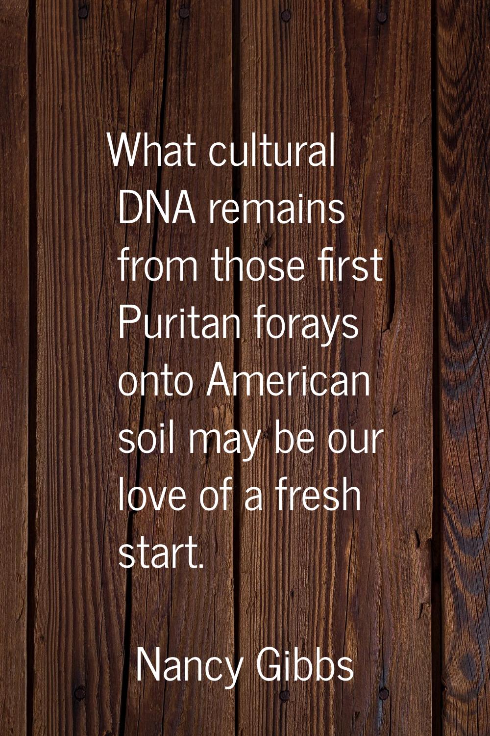 What cultural DNA remains from those first Puritan forays onto American soil may be our love of a f