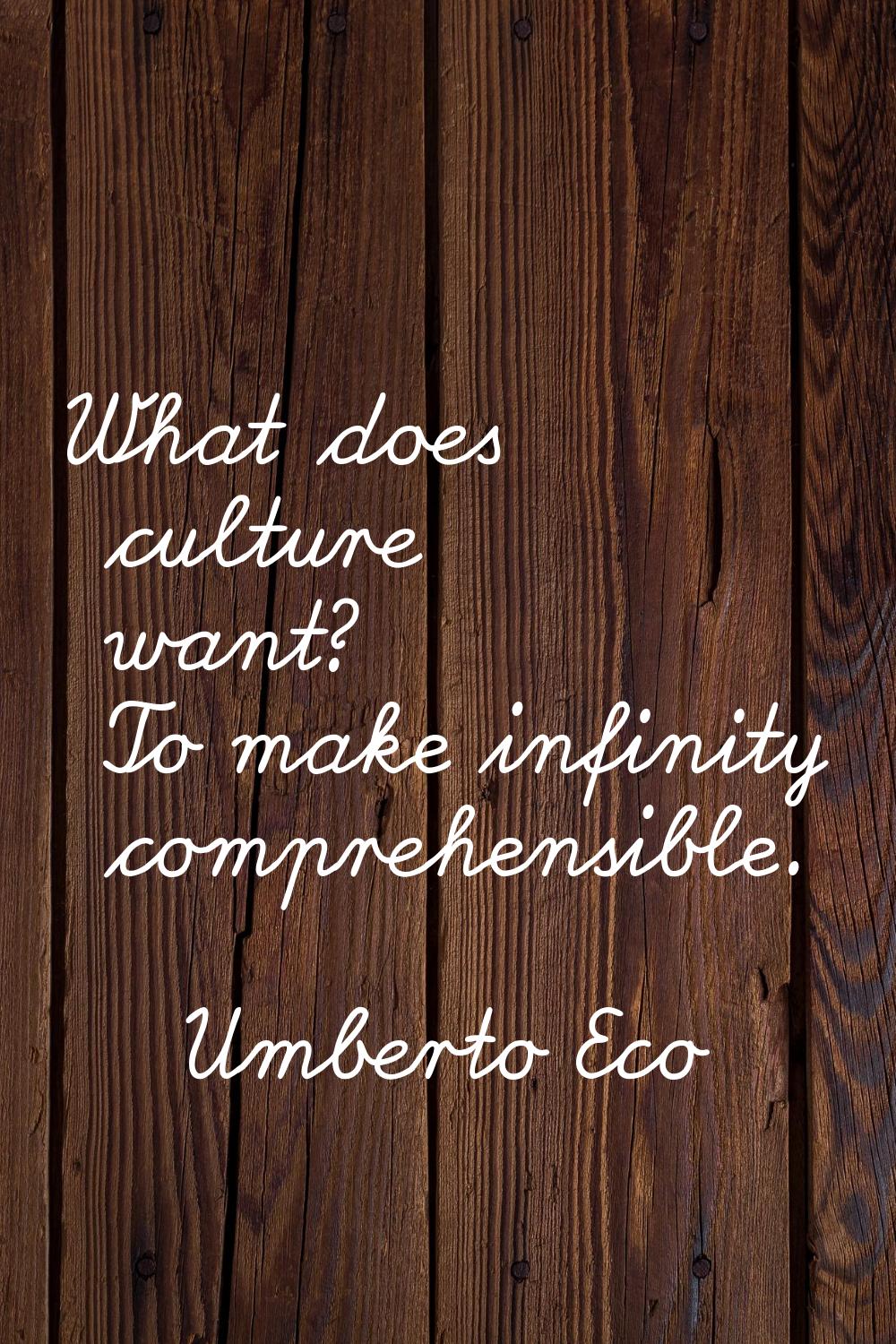 What does culture want? To make infinity comprehensible.