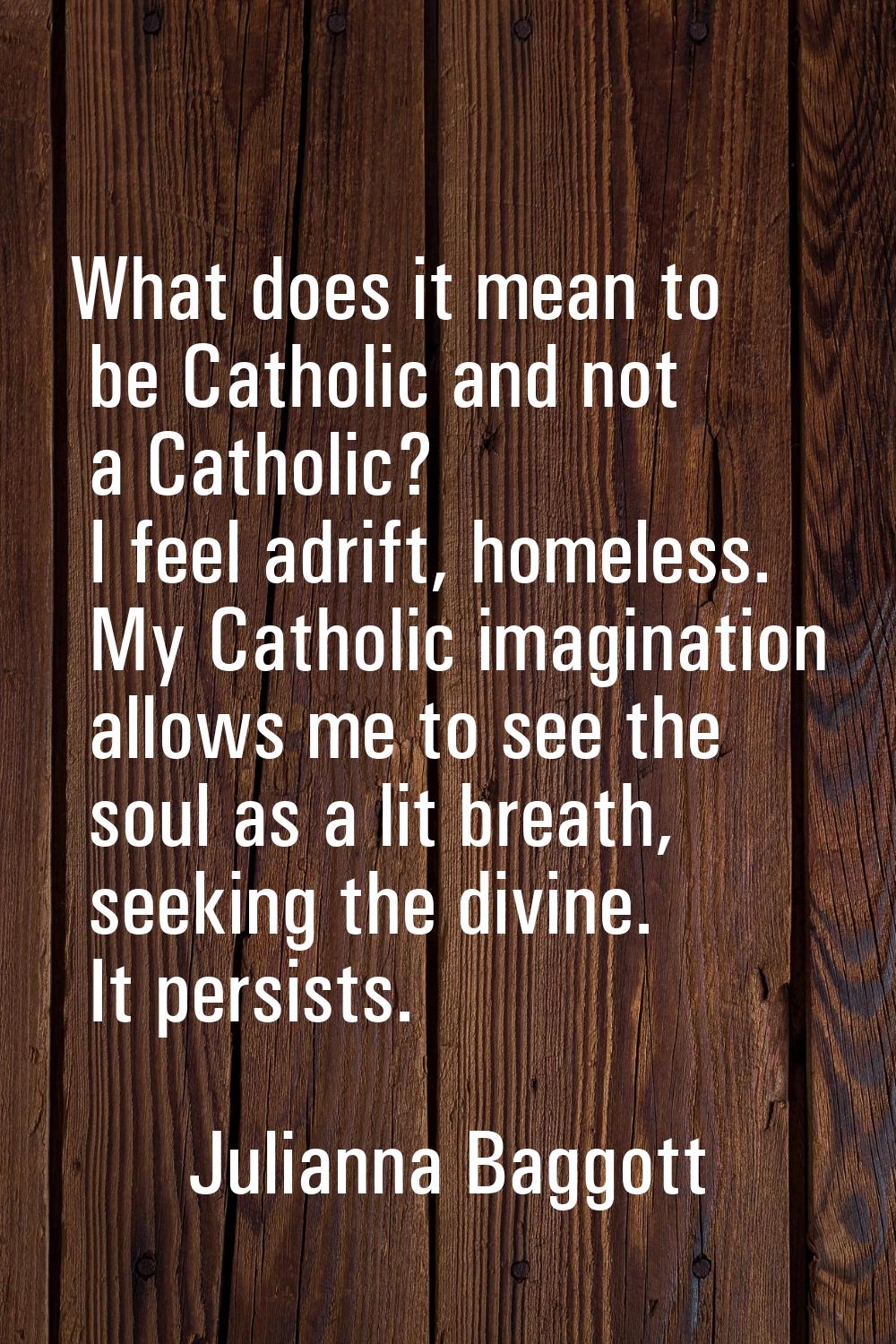 What does it mean to be Catholic and not a Catholic? I feel adrift, homeless. My Catholic imaginati