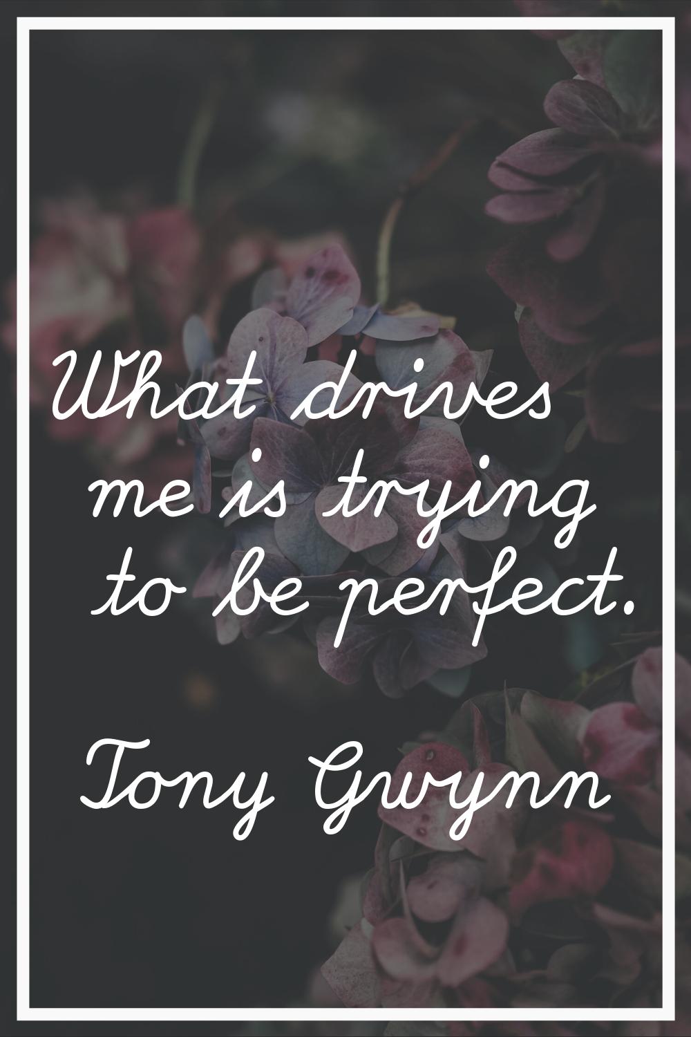 What drives me is trying to be perfect.
