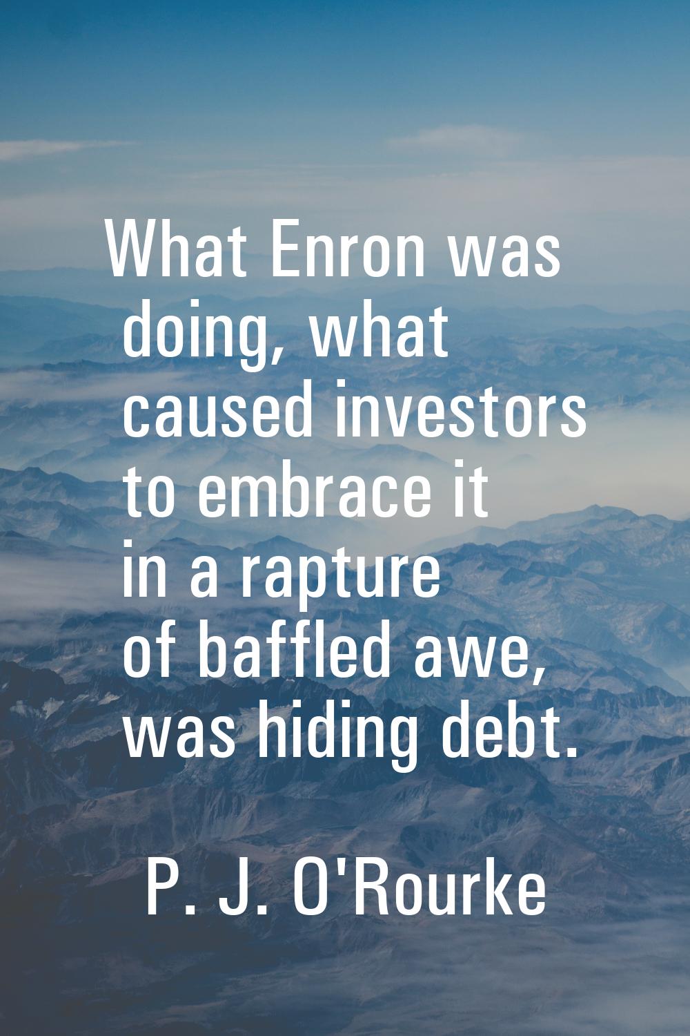 What Enron was doing, what caused investors to embrace it in a rapture of baffled awe, was hiding d