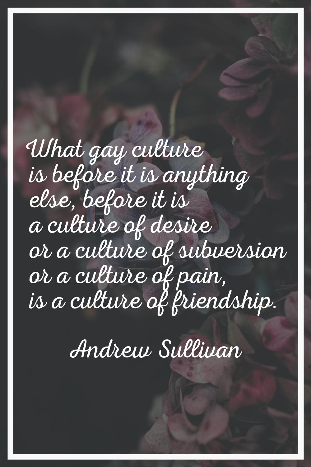 What gay culture is before it is anything else, before it is a culture of desire or a culture of su