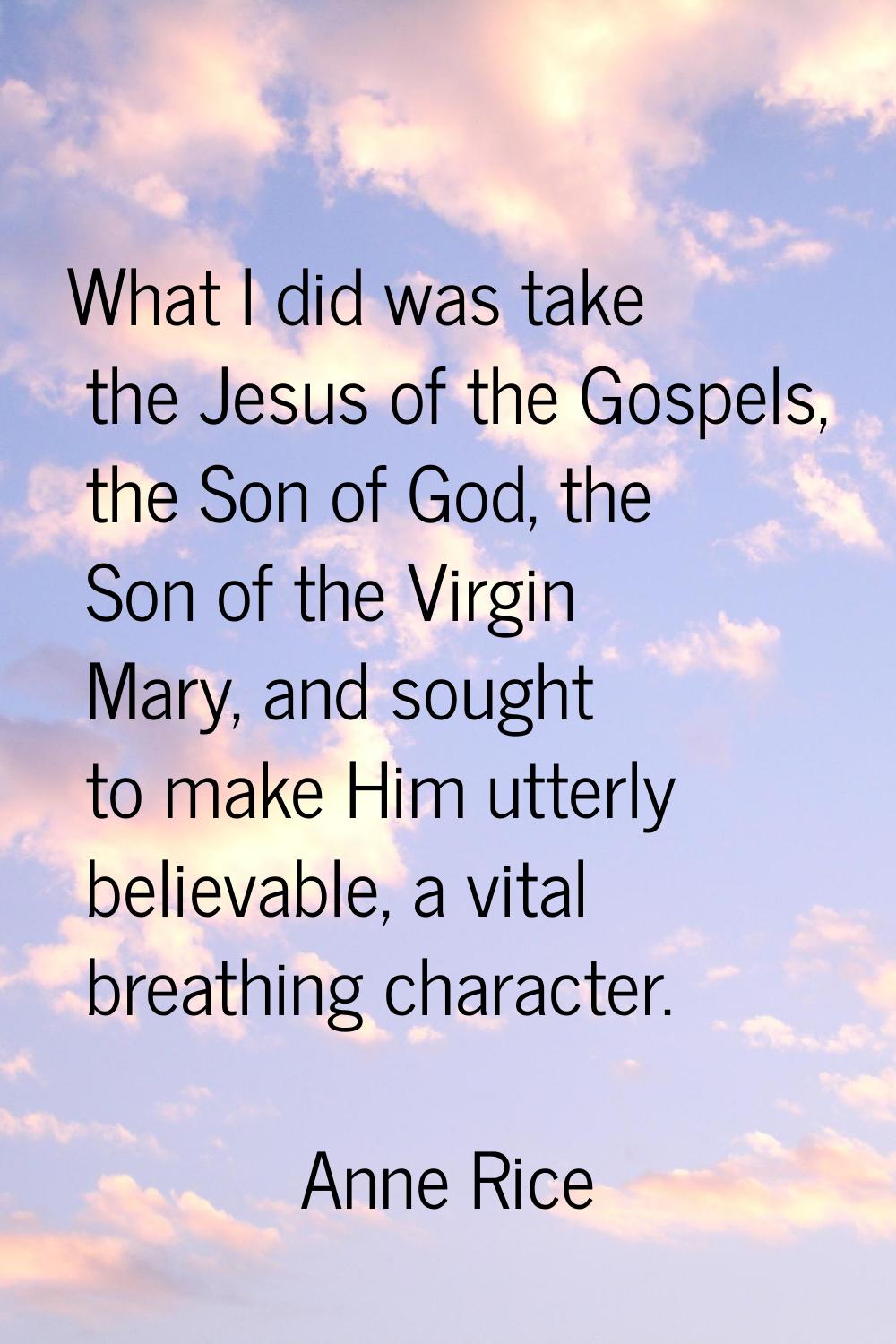 What I did was take the Jesus of the Gospels, the Son of God, the Son of the Virgin Mary, and sough