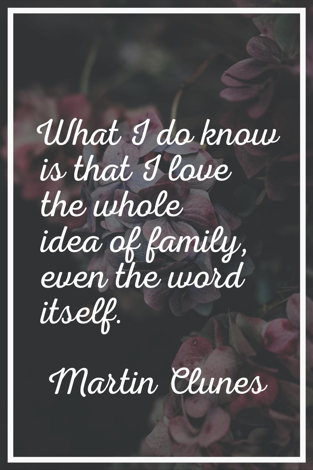 What I do know is that I love the whole idea of family, even the word itself.