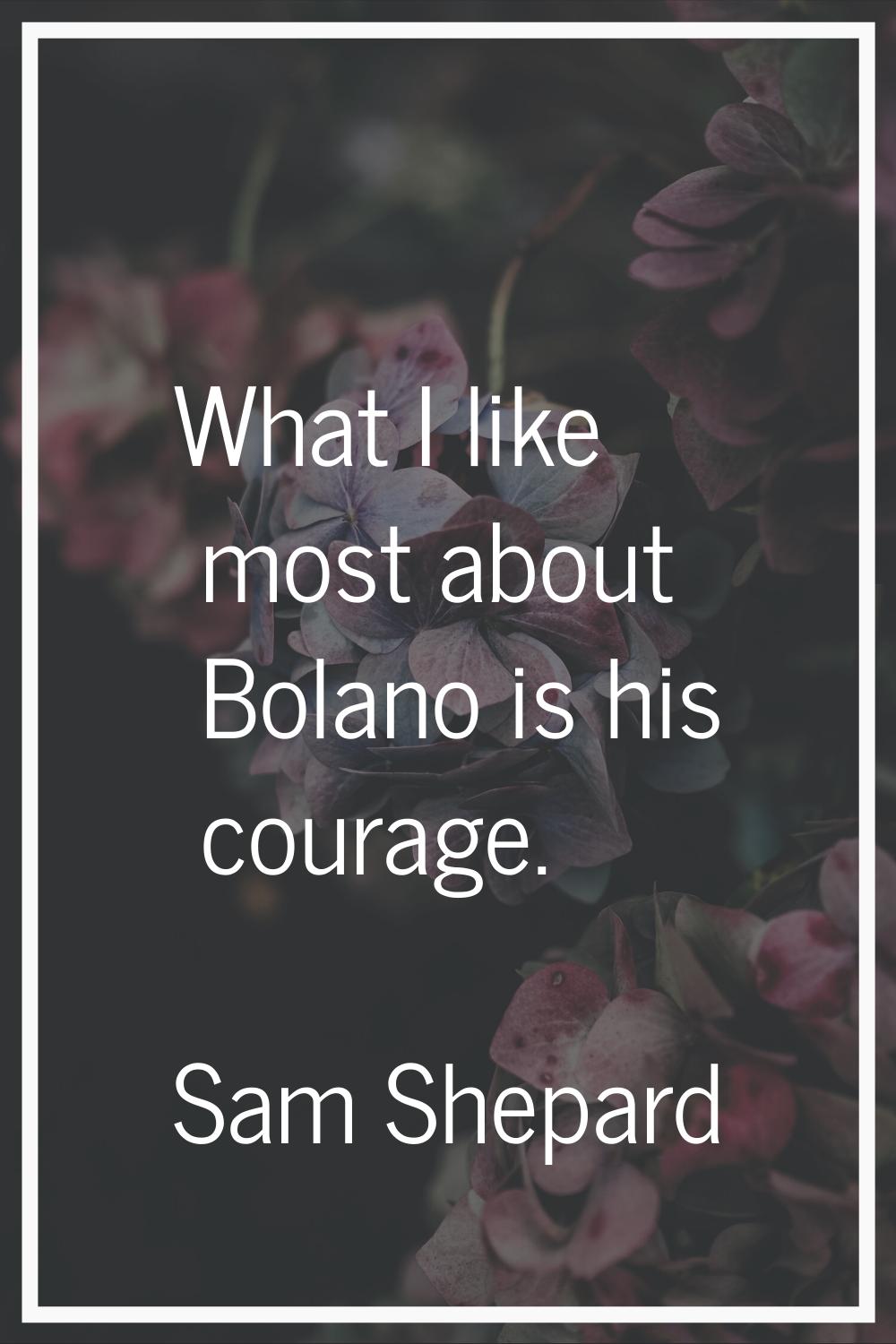 What I like most about Bolano is his courage.