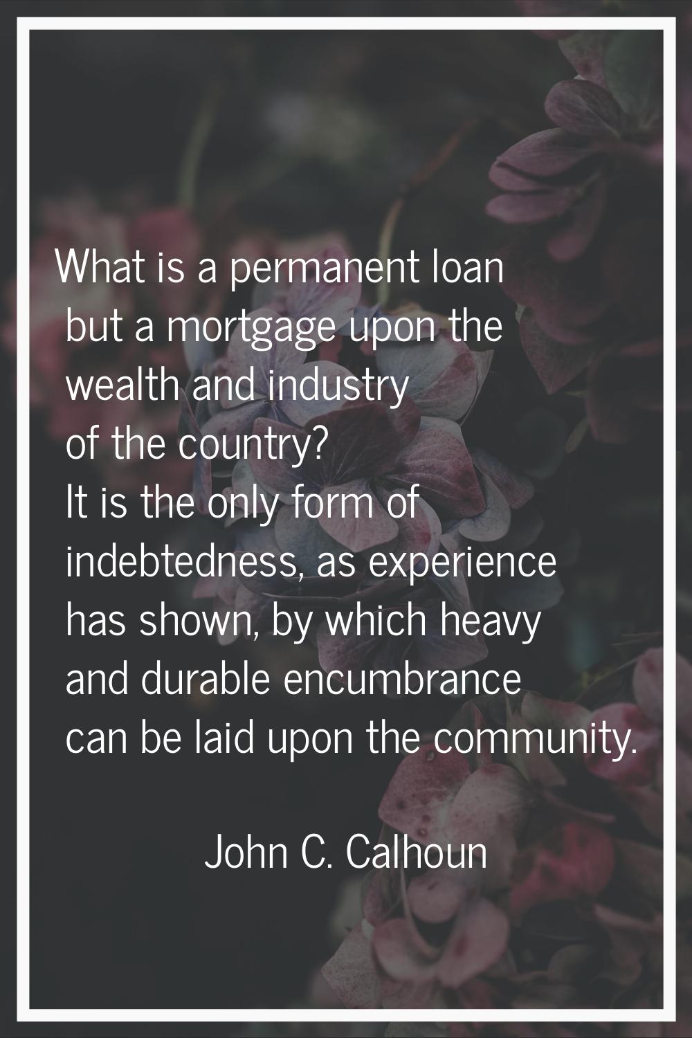 What is a permanent loan but a mortgage upon the wealth and industry of the country? It is the only