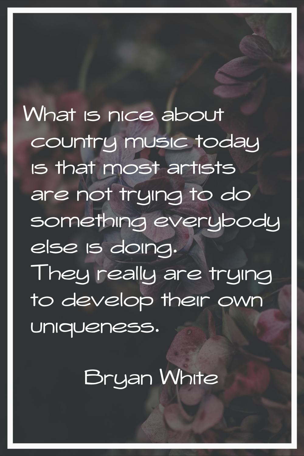 What is nice about country music today is that most artists are not trying to do something everybod