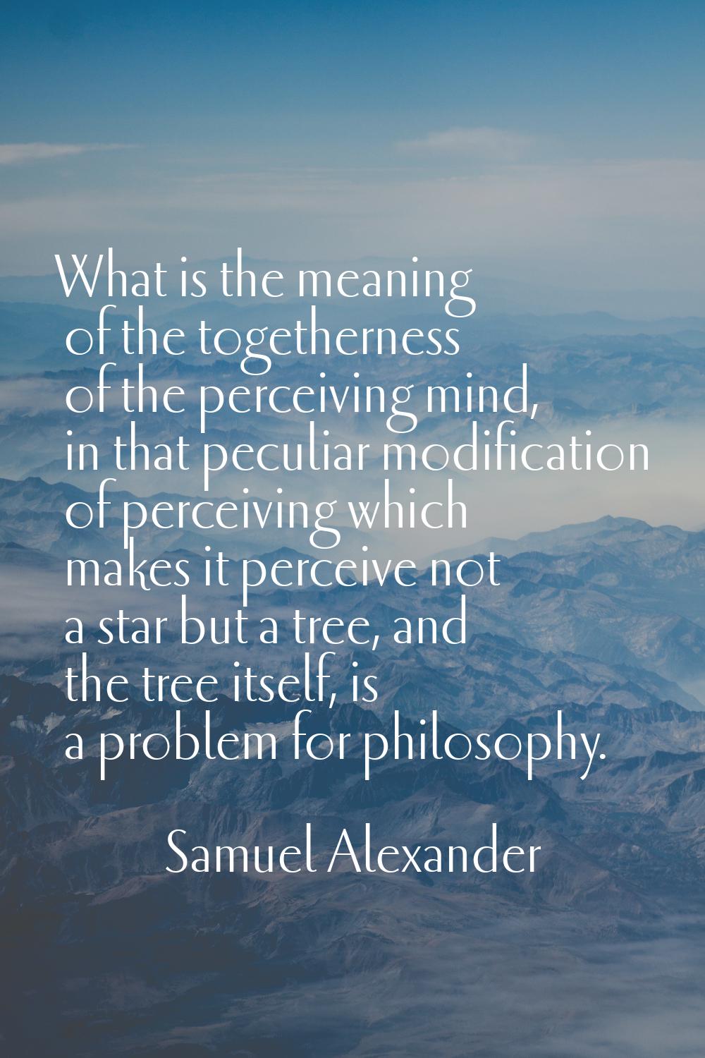 What is the meaning of the togetherness of the perceiving mind, in that peculiar modification of pe