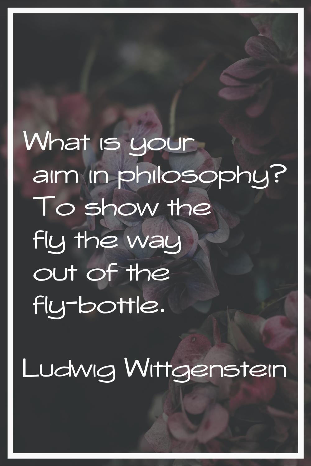 What is your aim in philosophy? To show the fly the way out of the fly-bottle.