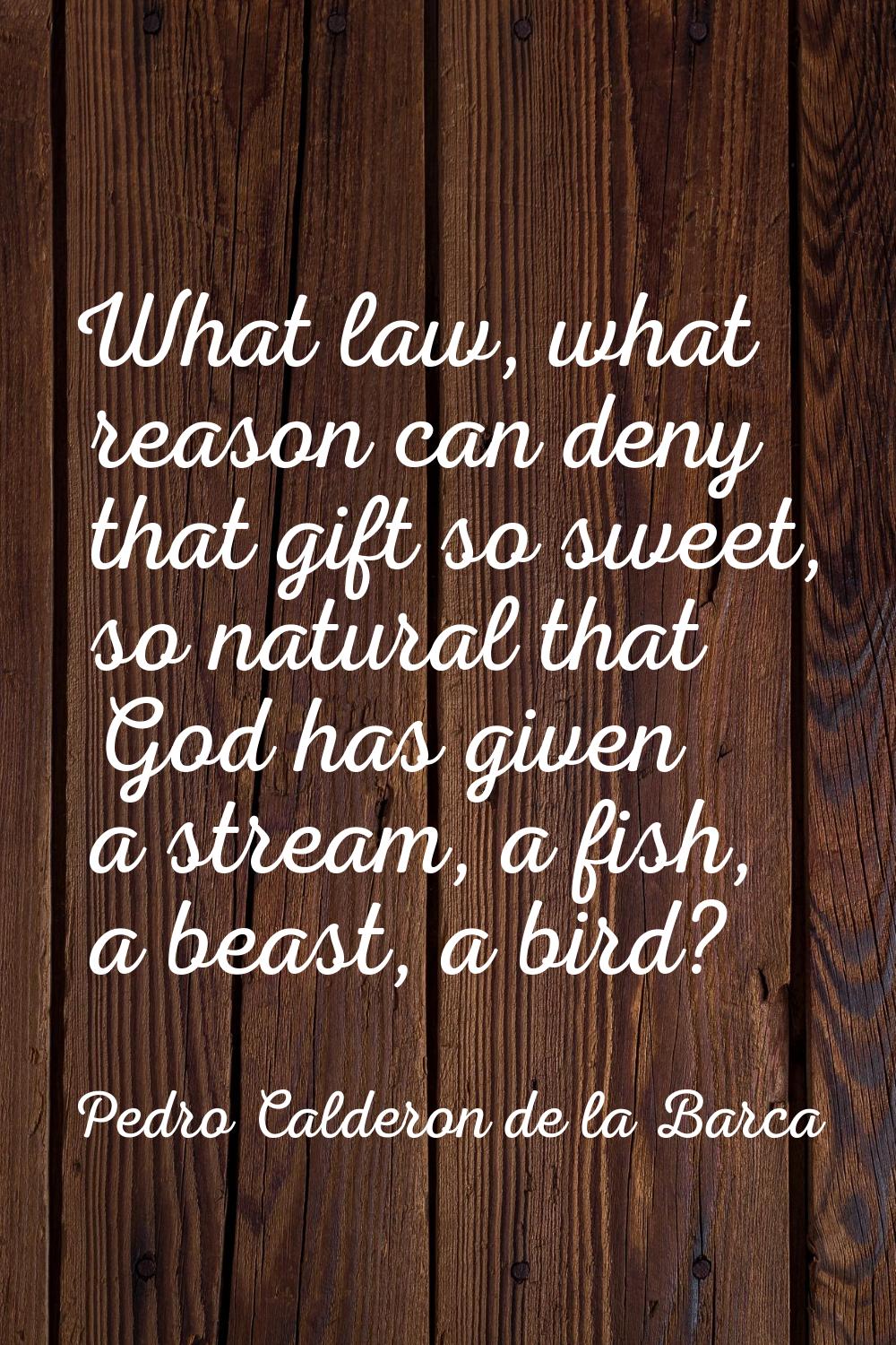 What law, what reason can deny that gift so sweet, so natural that God has given a stream, a fish, 