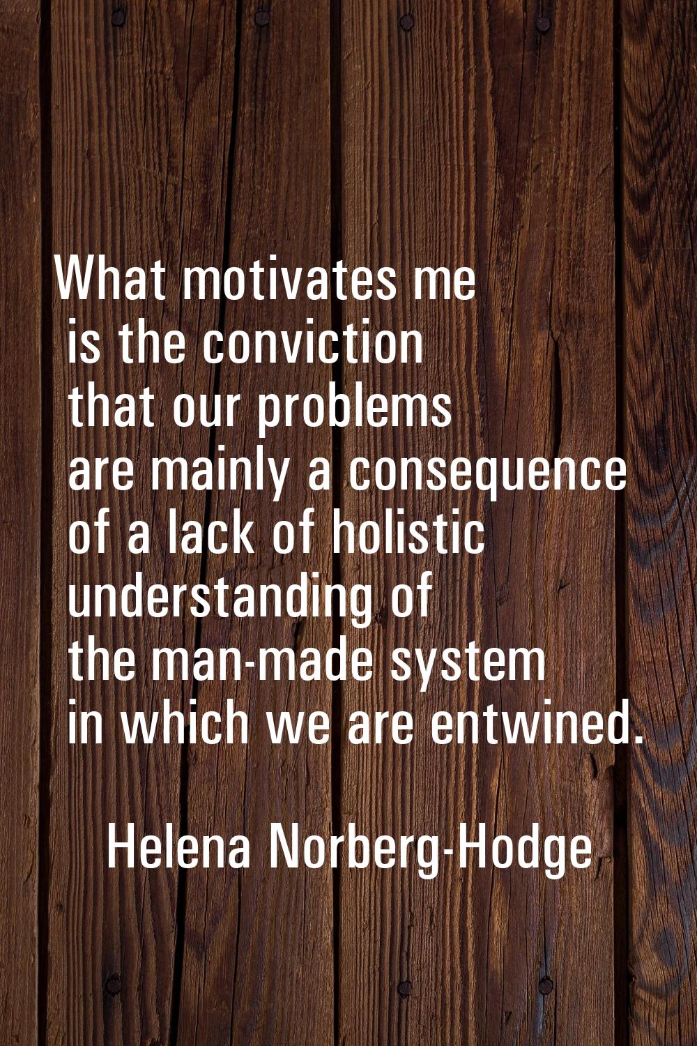 What motivates me is the conviction that our problems are mainly a consequence of a lack of holisti