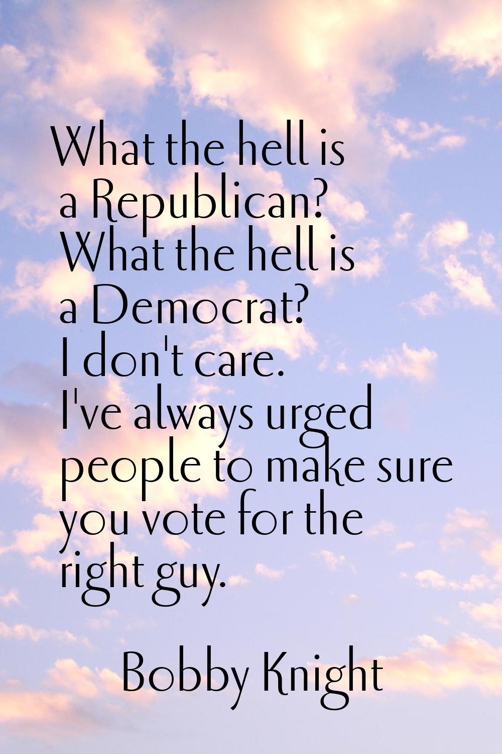 What the hell is a Republican? What the hell is a Democrat? I don't care. I've always urged people 