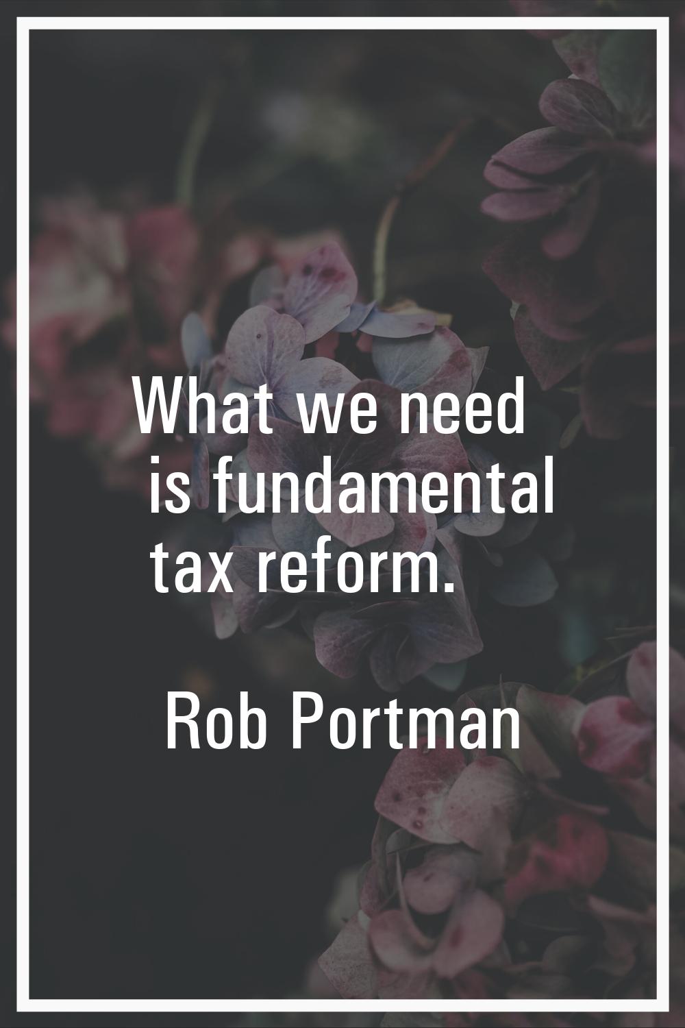 What we need is fundamental tax reform.