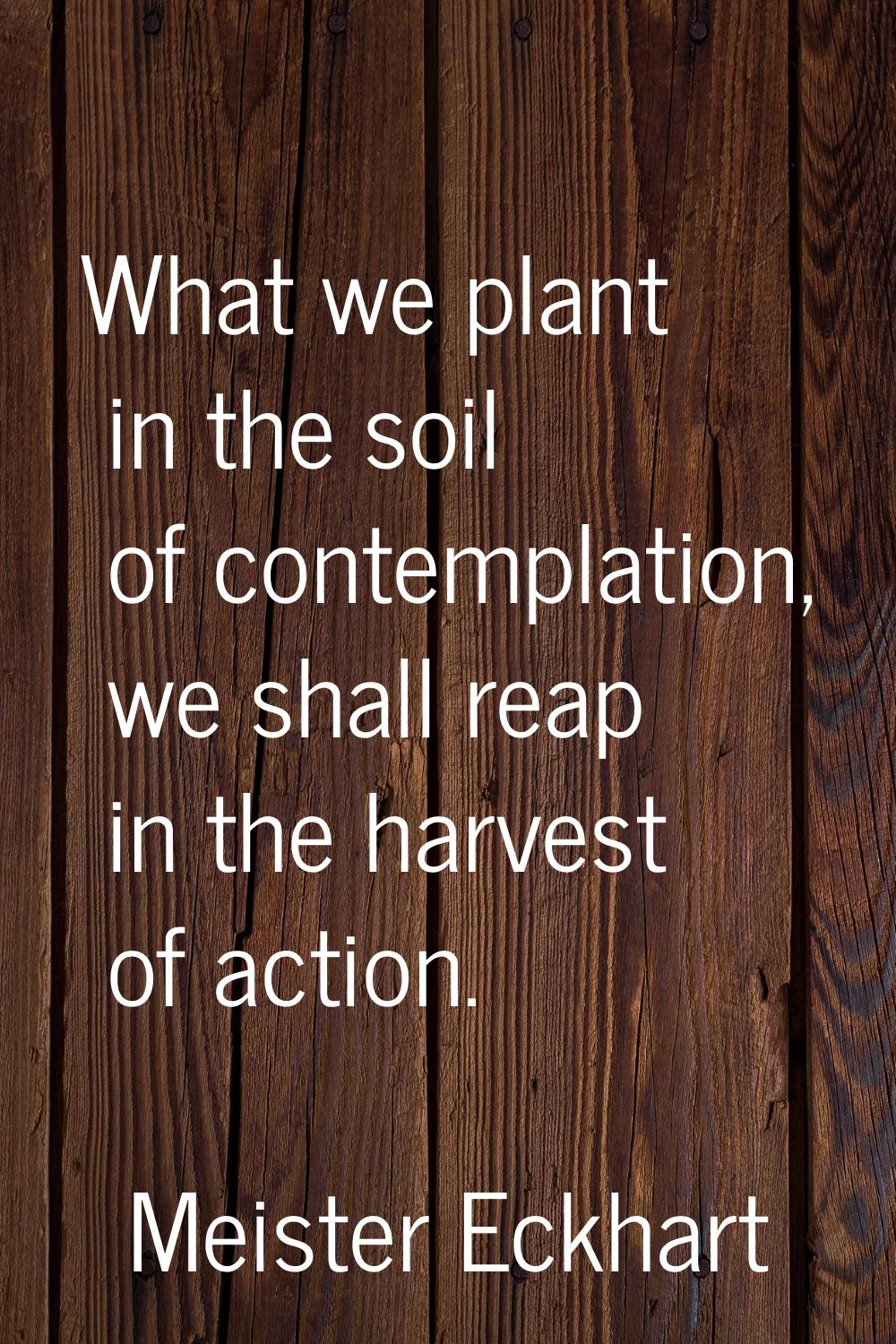 What we plant in the soil of contemplation, we shall reap in the harvest of action.
