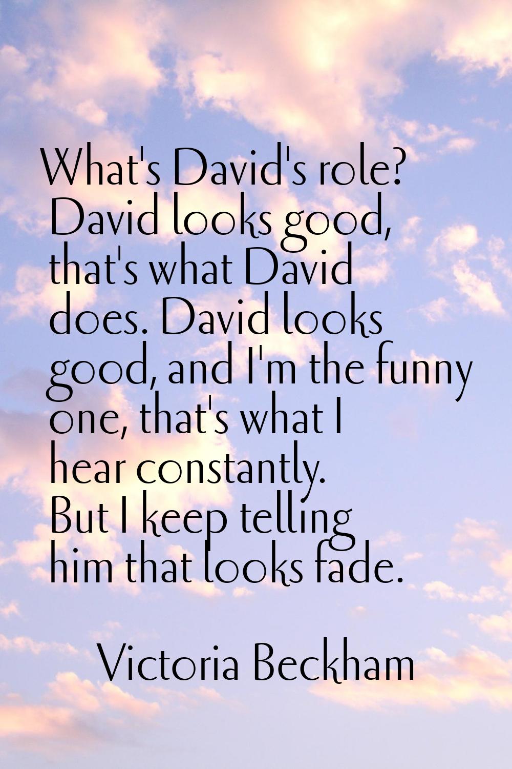 What's David's role? David looks good, that's what David does. David looks good, and I'm the funny 