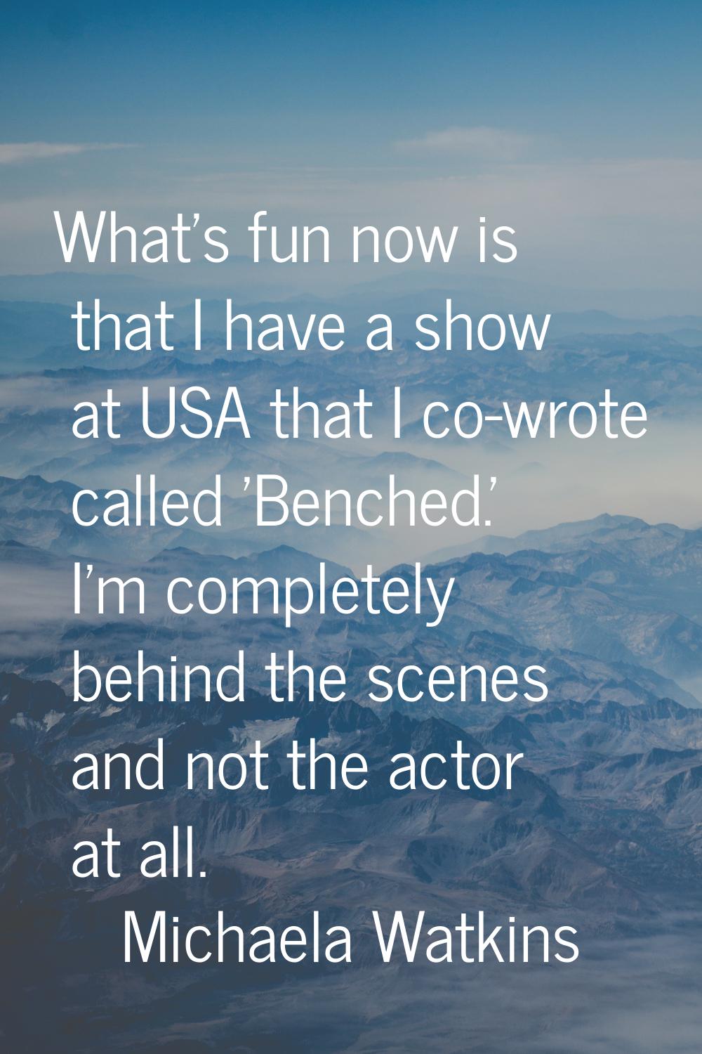 What's fun now is that I have a show at USA that I co-wrote called 'Benched.' I'm completely behind