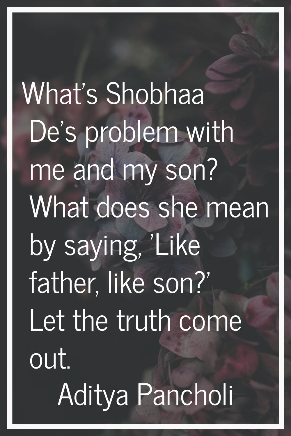What's Shobhaa De's problem with me and my son? What does she mean by saying, 'Like father, like so
