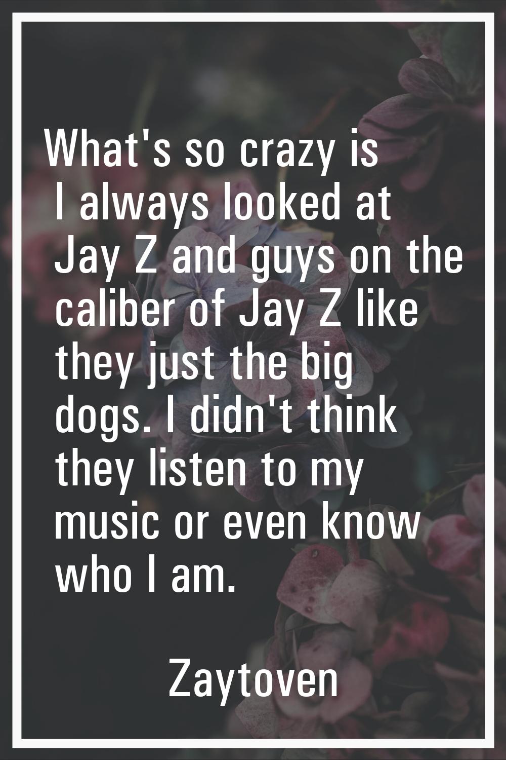 What's so crazy is I always looked at Jay Z and guys on the caliber of Jay Z like they just the big