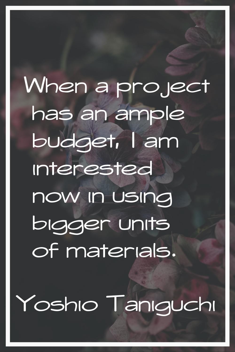 When a project has an ample budget, I am interested now in using bigger units of materials.