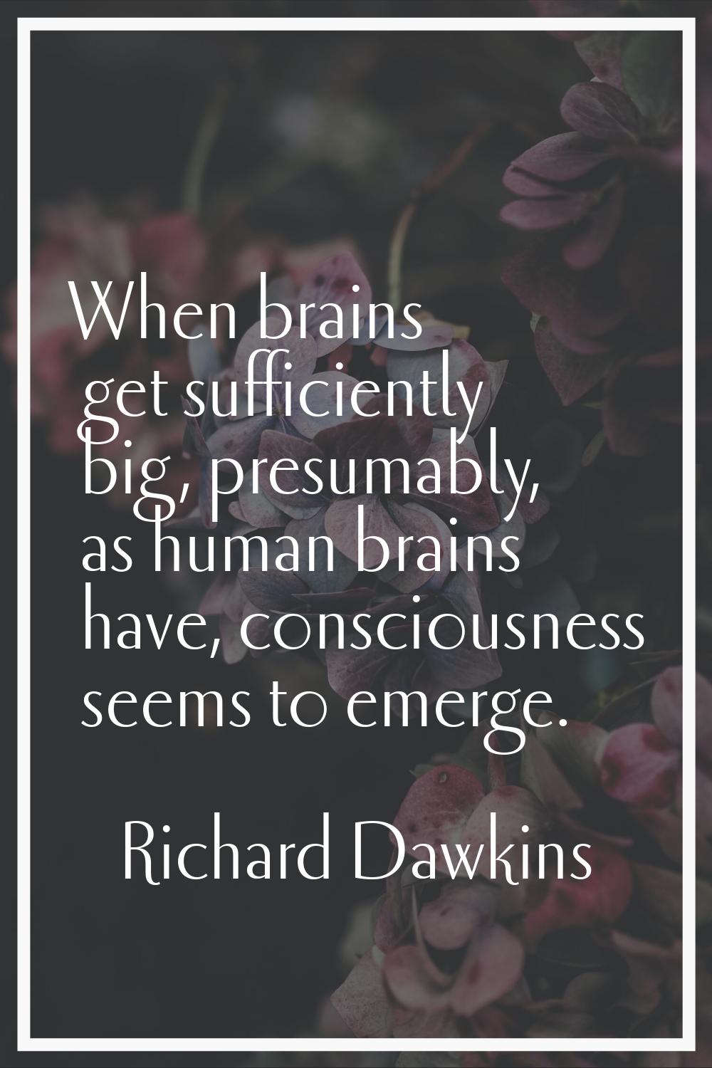When brains get sufficiently big, presumably, as human brains have, consciousness seems to emerge.