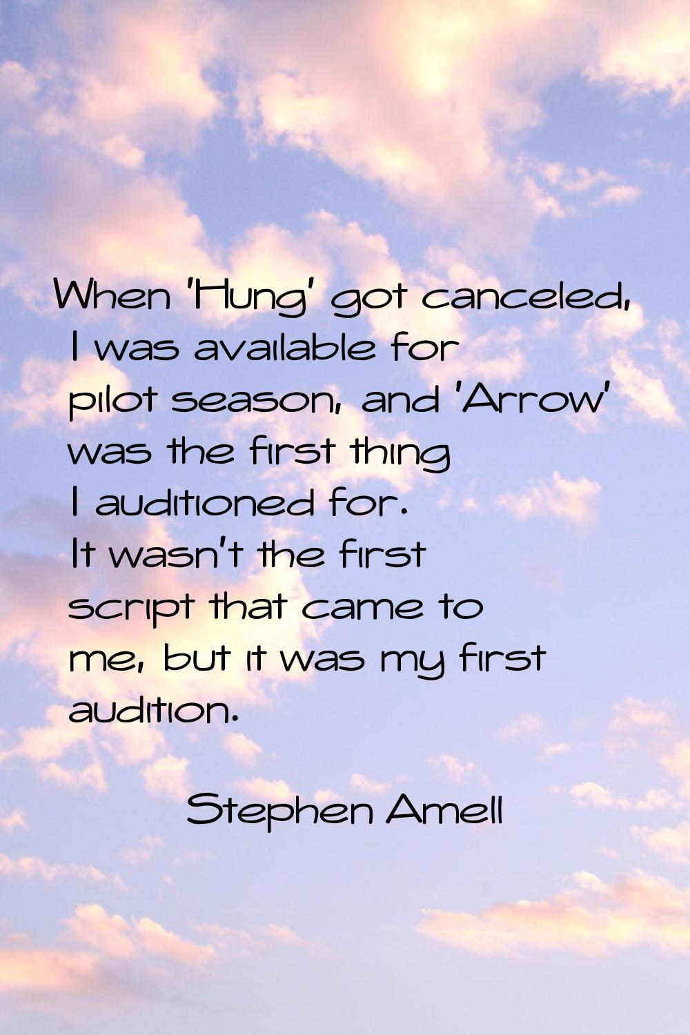 When 'Hung' got canceled, I was available for pilot season, and 'Arrow' was the first thing I audit