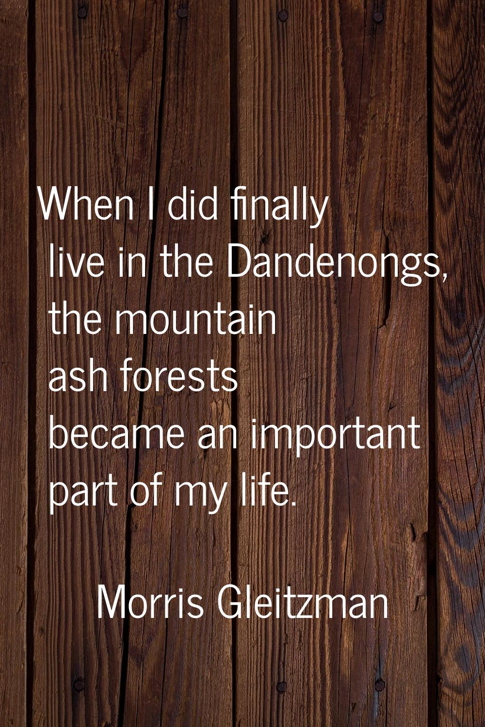 When I did finally live in the Dandenongs, the mountain ash forests became an important part of my 