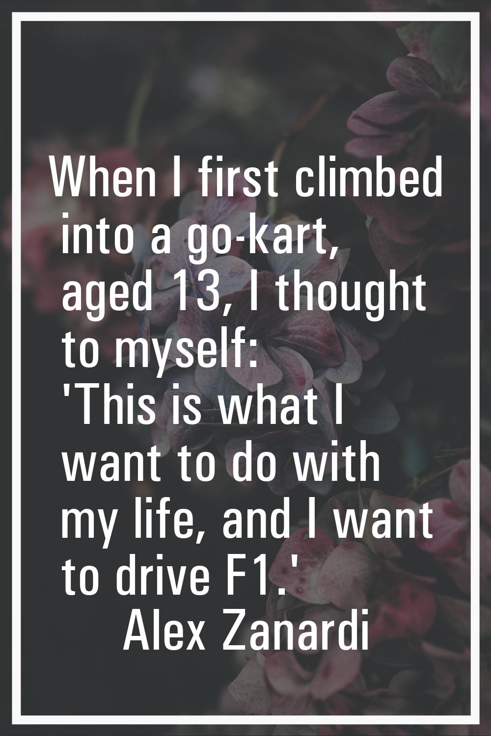 When I first climbed into a go-kart, aged 13, I thought to myself: 'This is what I want to do with 