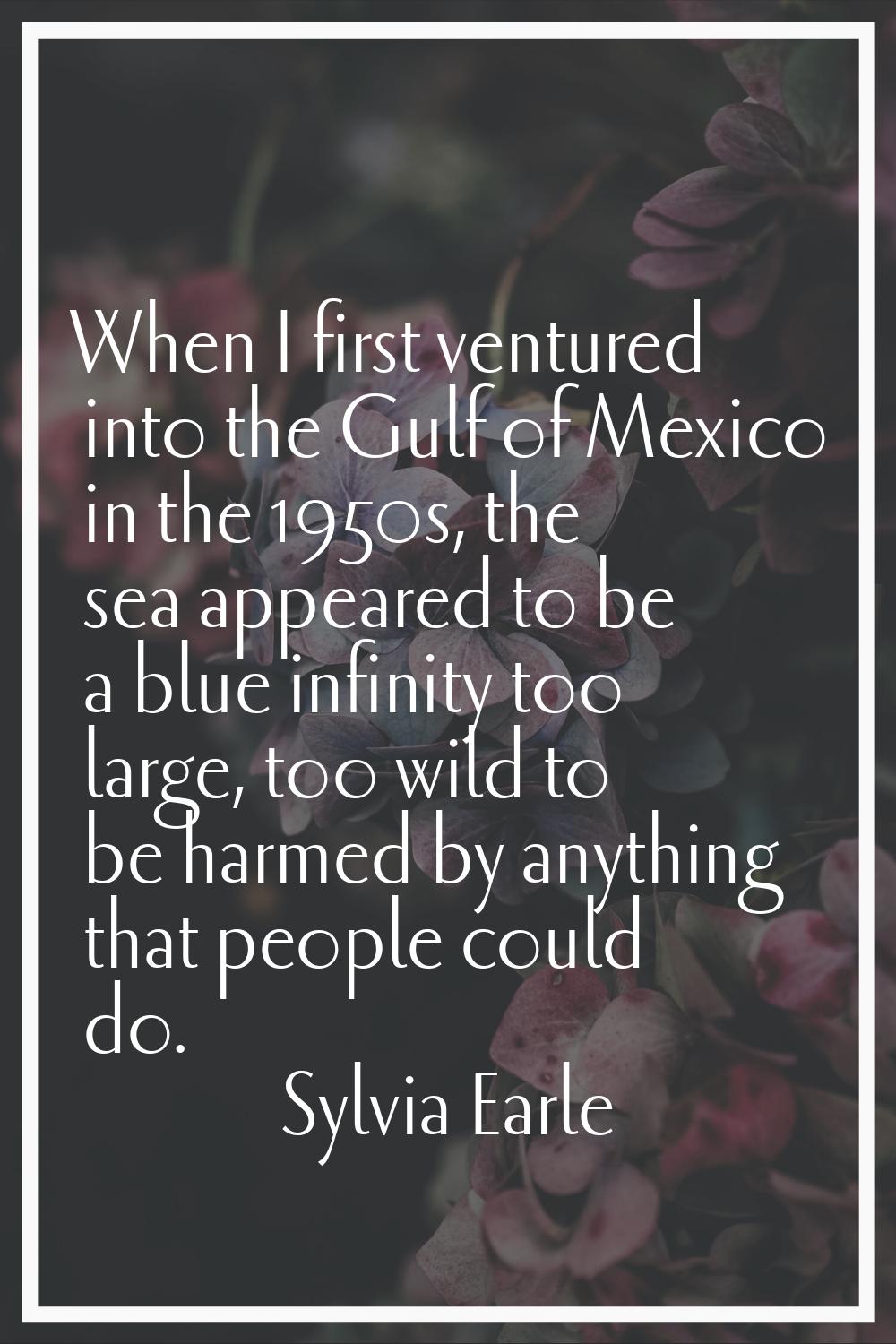 When I first ventured into the Gulf of Mexico in the 1950s, the sea appeared to be a blue infinity 
