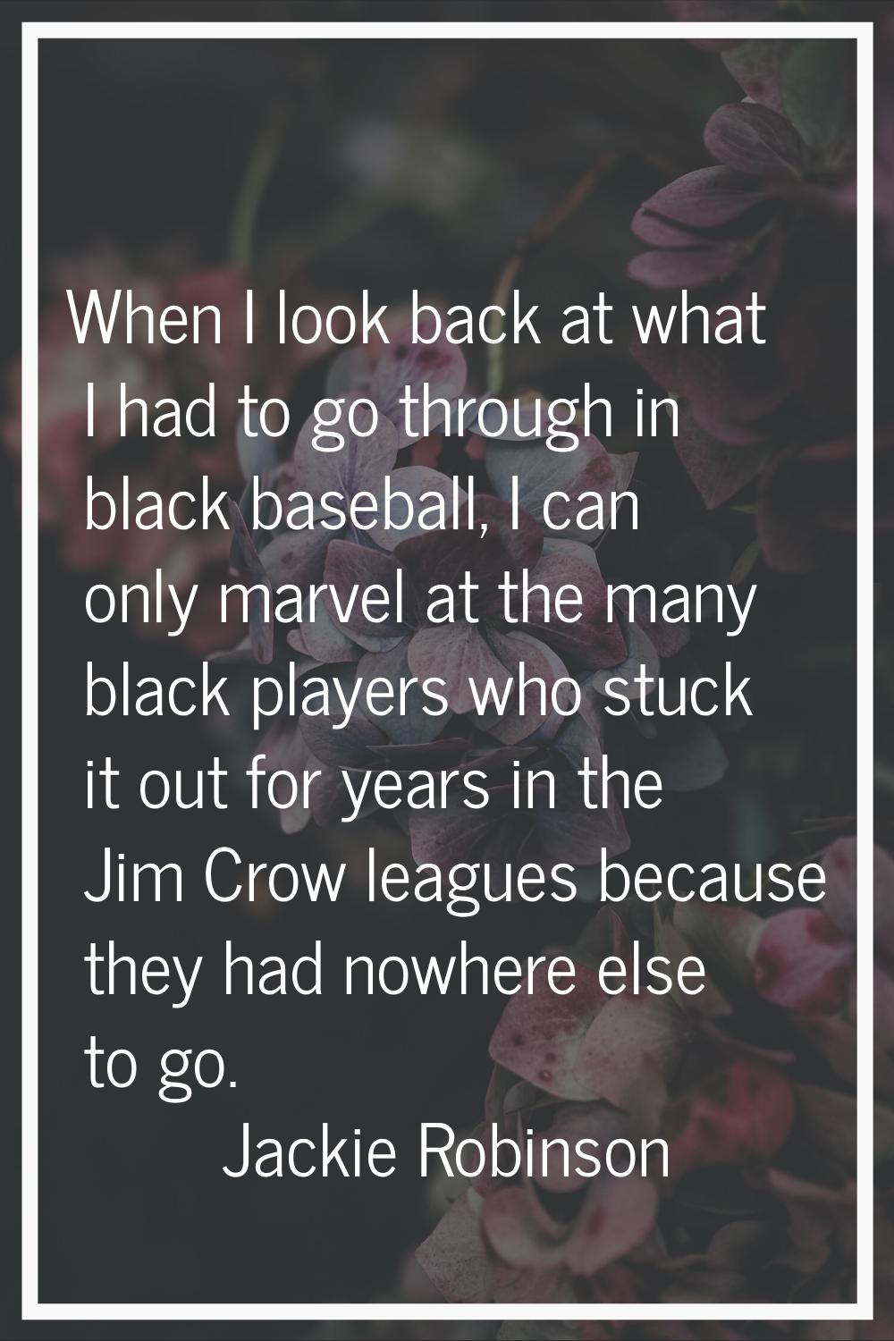 When I look back at what I had to go through in black baseball, I can only marvel at the many black