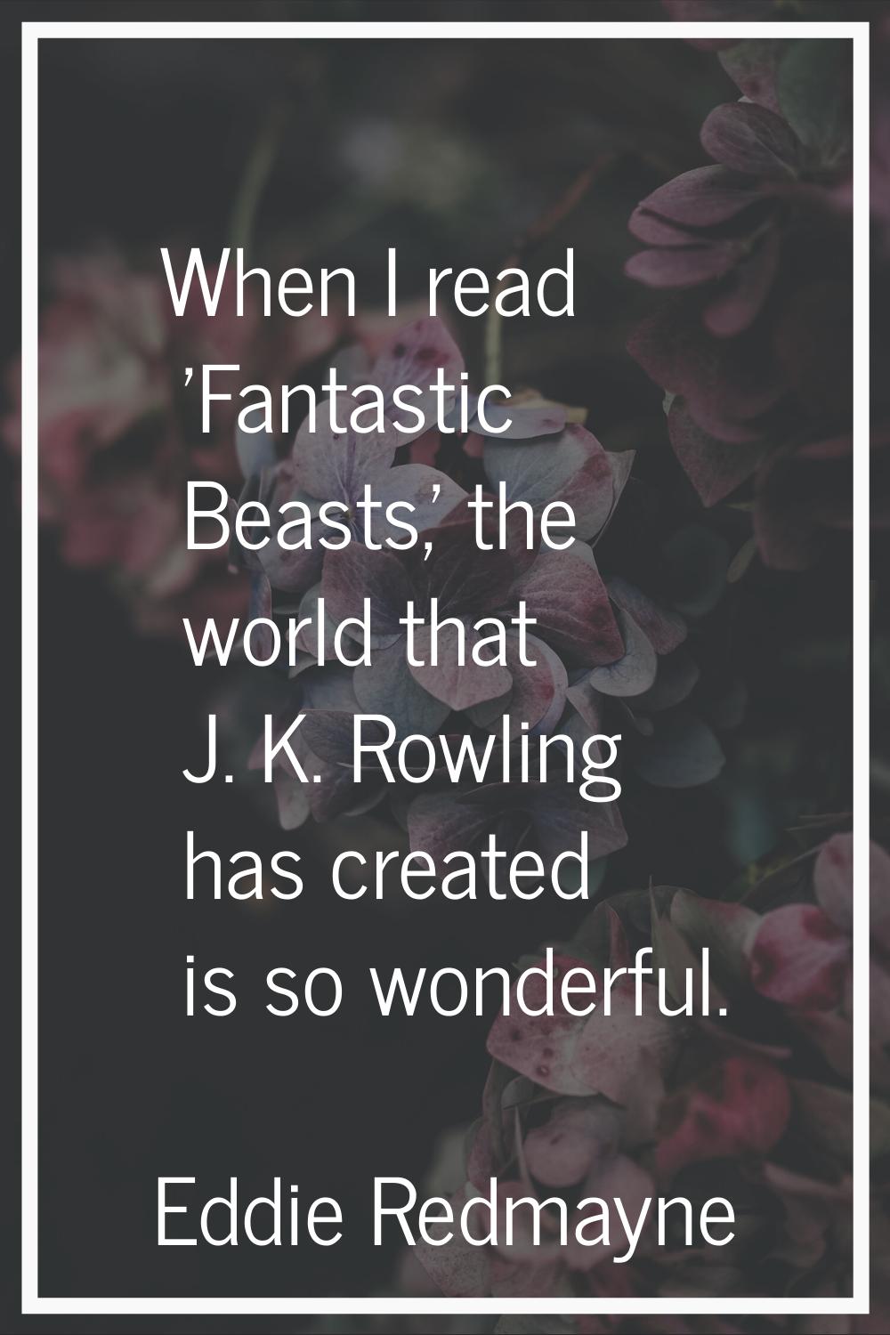 When I read 'Fantastic Beasts,' the world that J. K. Rowling has created is so wonderful.