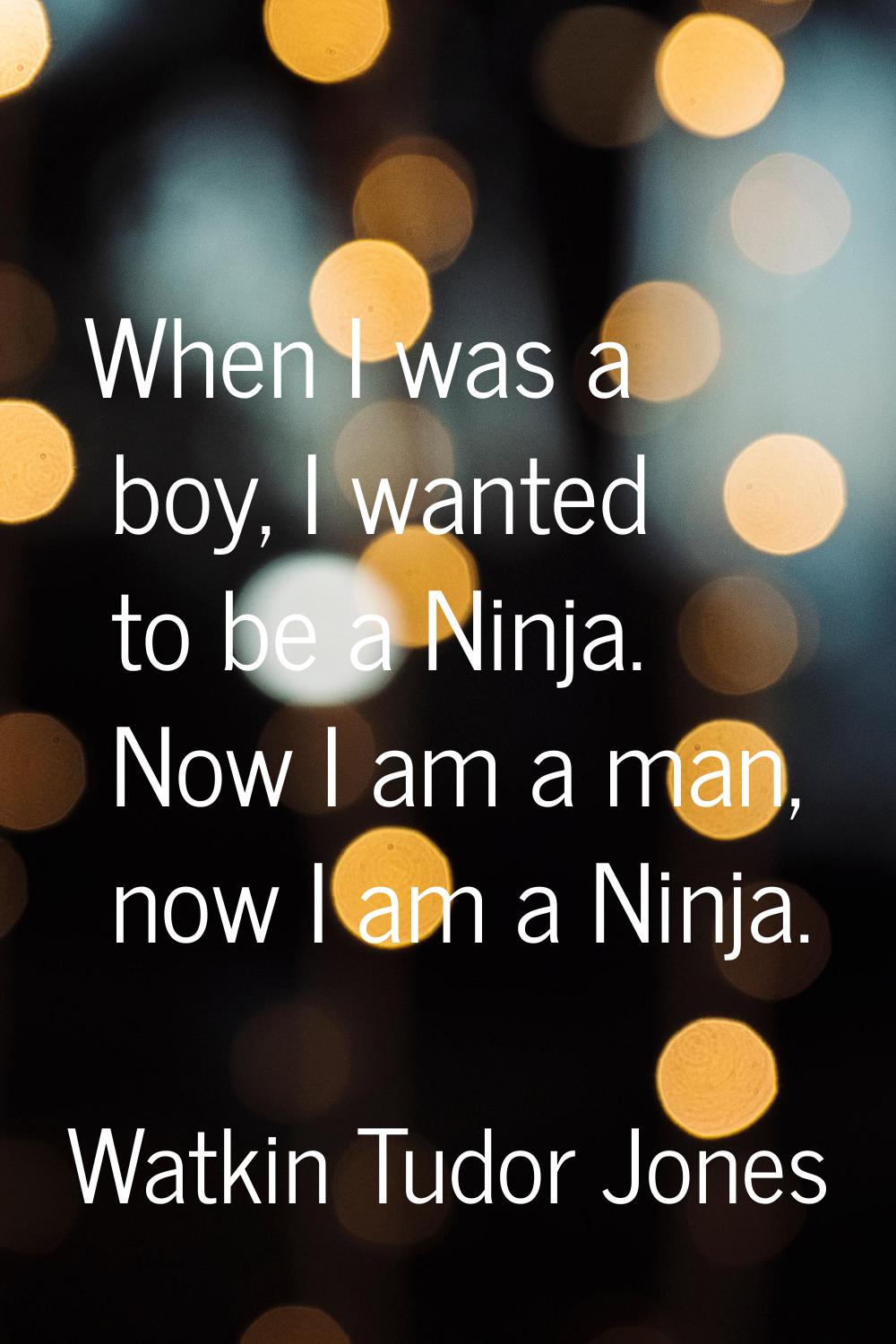 When I was a boy, I wanted to be a Ninja. Now I am a man, now I am a Ninja.