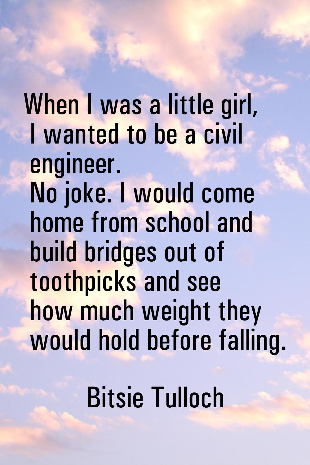 When I was a little girl, I wanted to be a civil engineer. No joke. I would come home from school a