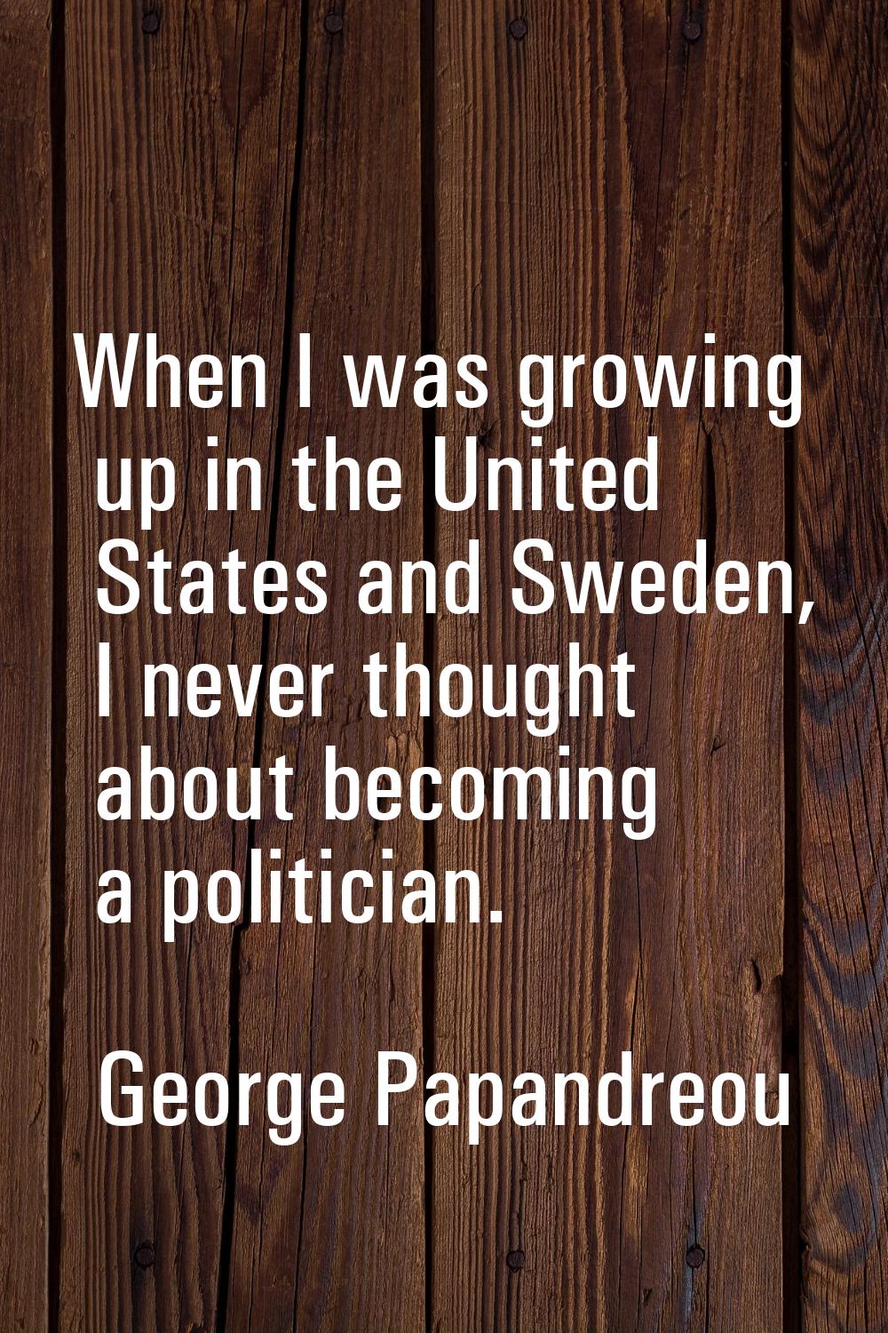 When I was growing up in the United States and Sweden, I never thought about becoming a politician.