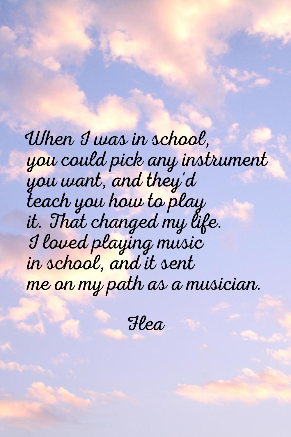 When I was in school, you could pick any instrument you want, and they'd teach you how to play it. 