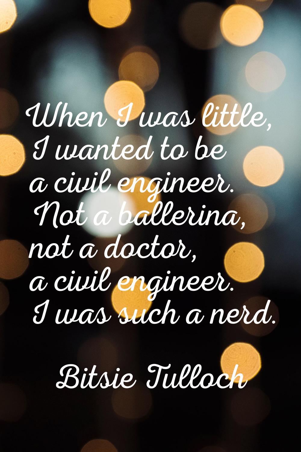 When I was little, I wanted to be a civil engineer. Not a ballerina, not a doctor, a civil engineer