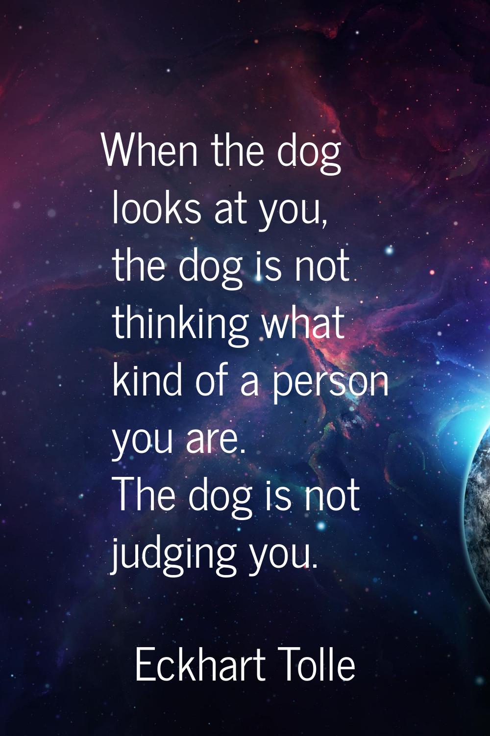 When the dog looks at you, the dog is not thinking what kind of a person you are. The dog is not ju