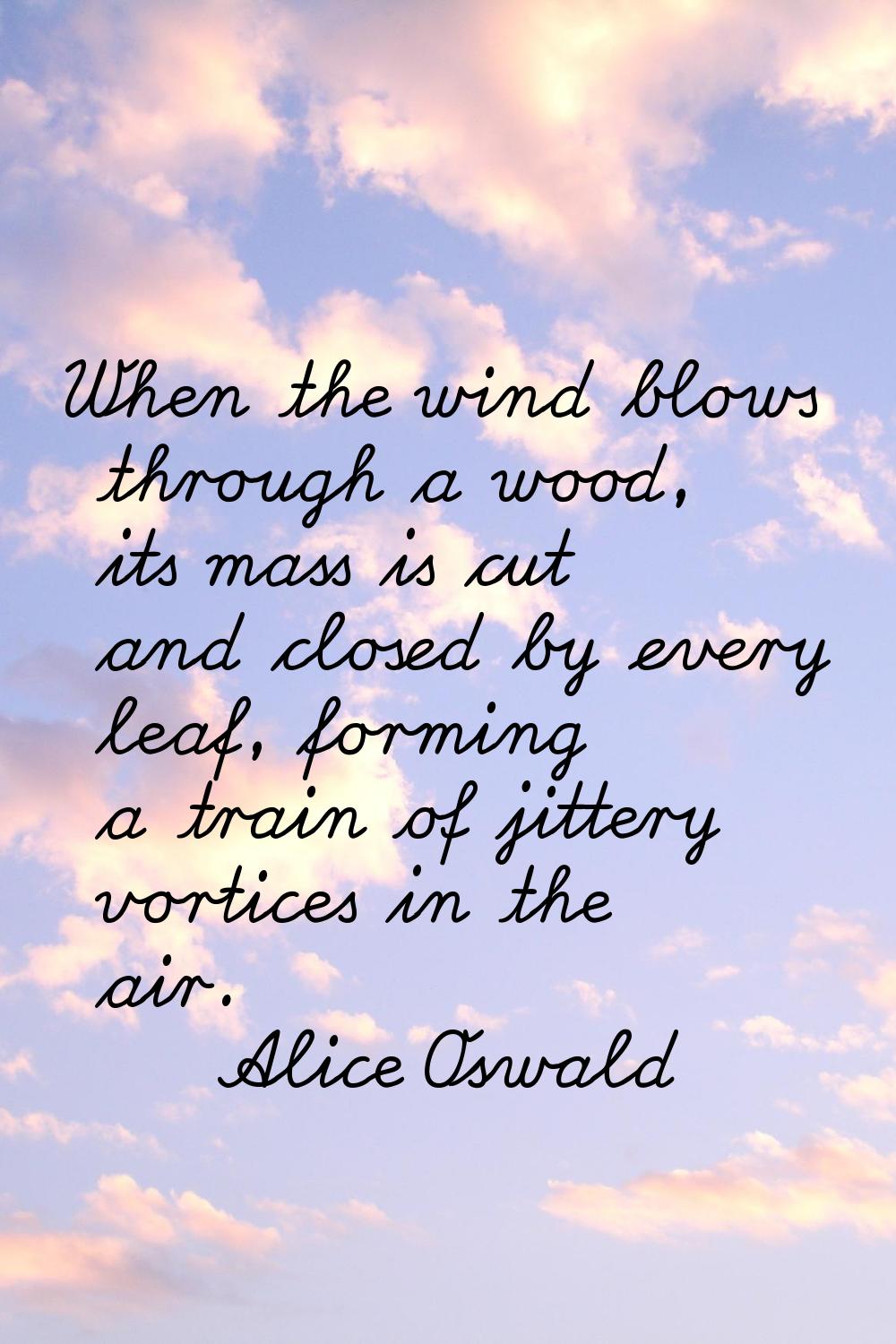 When the wind blows through a wood, its mass is cut and closed by every leaf, forming a train of ji