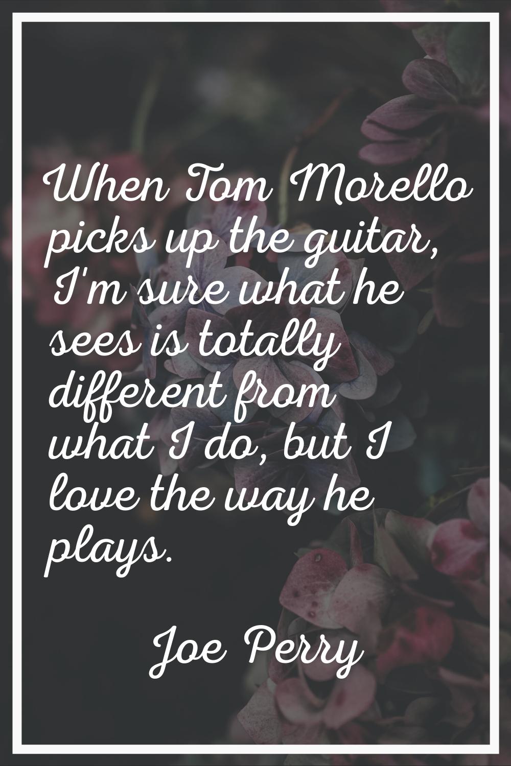 When Tom Morello picks up the guitar, I'm sure what he sees is totally different from what I do, bu