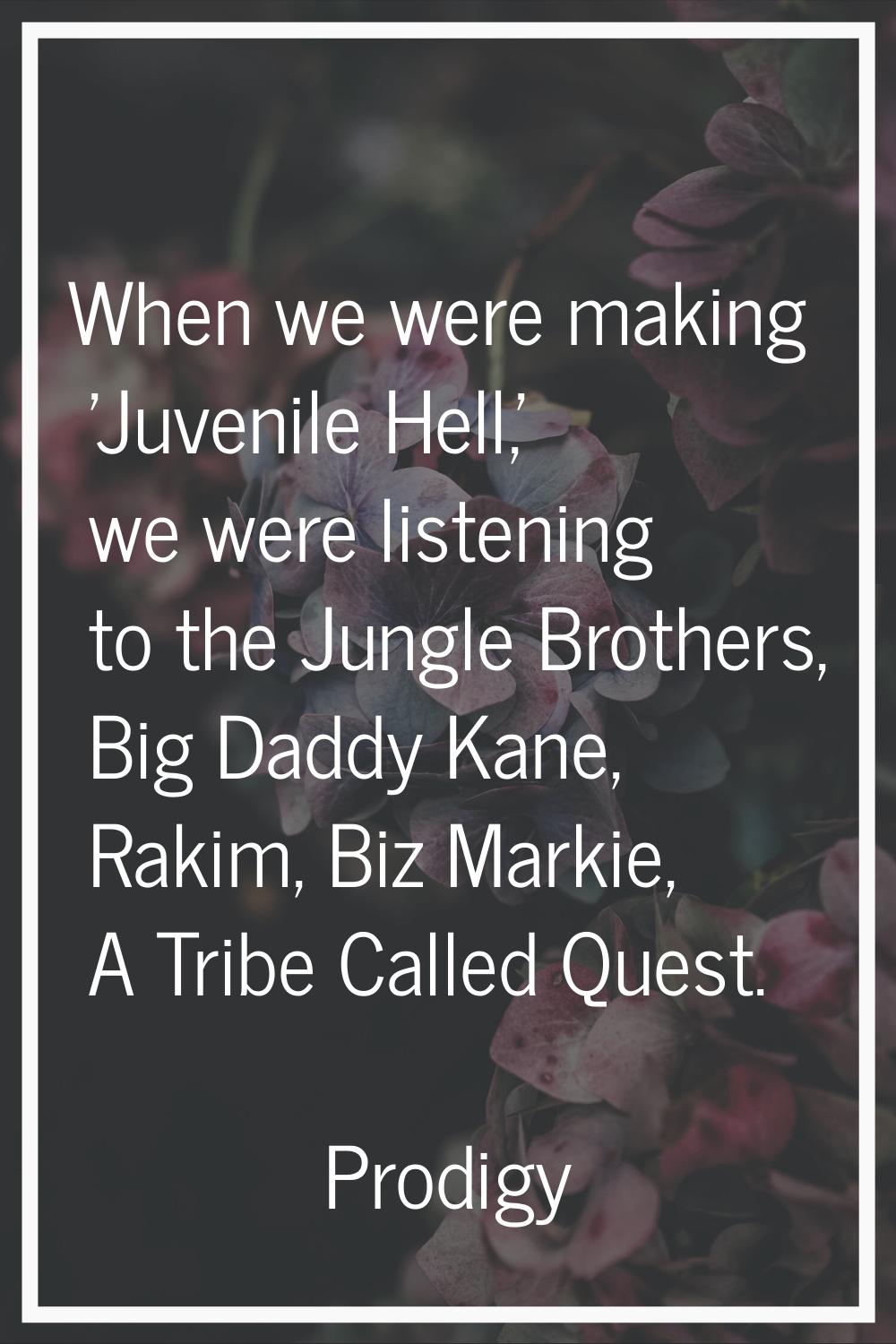 When we were making 'Juvenile Hell,' we were listening to the Jungle Brothers, Big Daddy Kane, Raki