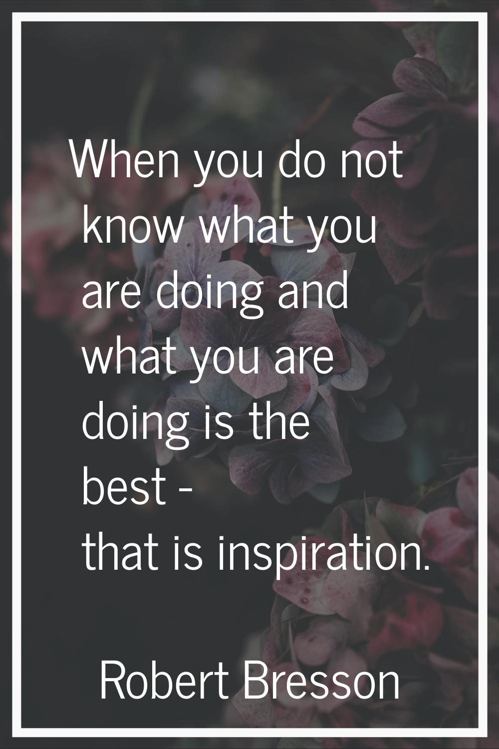 When you do not know what you are doing and what you are doing is the best - that is inspiration.
