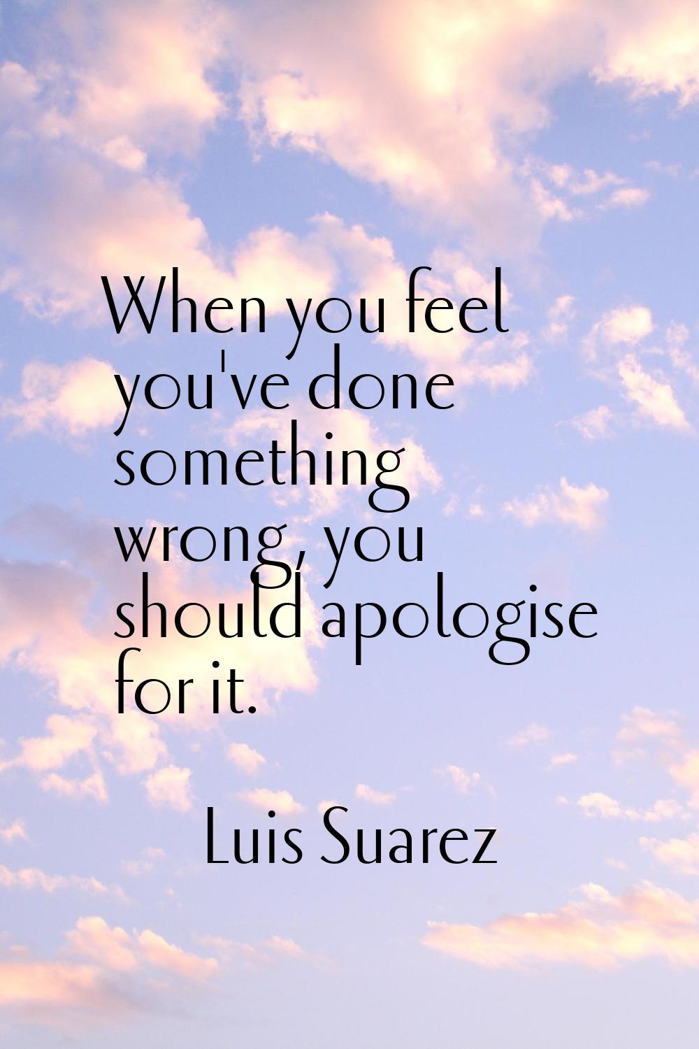 When you feel you've done something wrong, you should apologise for it.