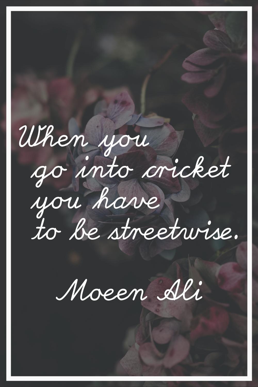 When you go into cricket you have to be streetwise.