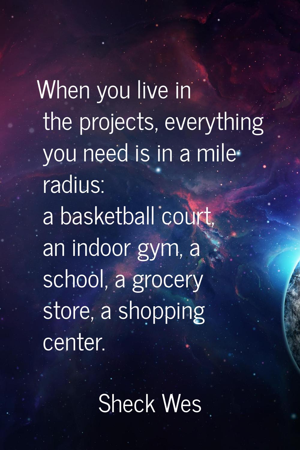 When you live in the projects, everything you need is in a mile radius: a basketball court, an indo