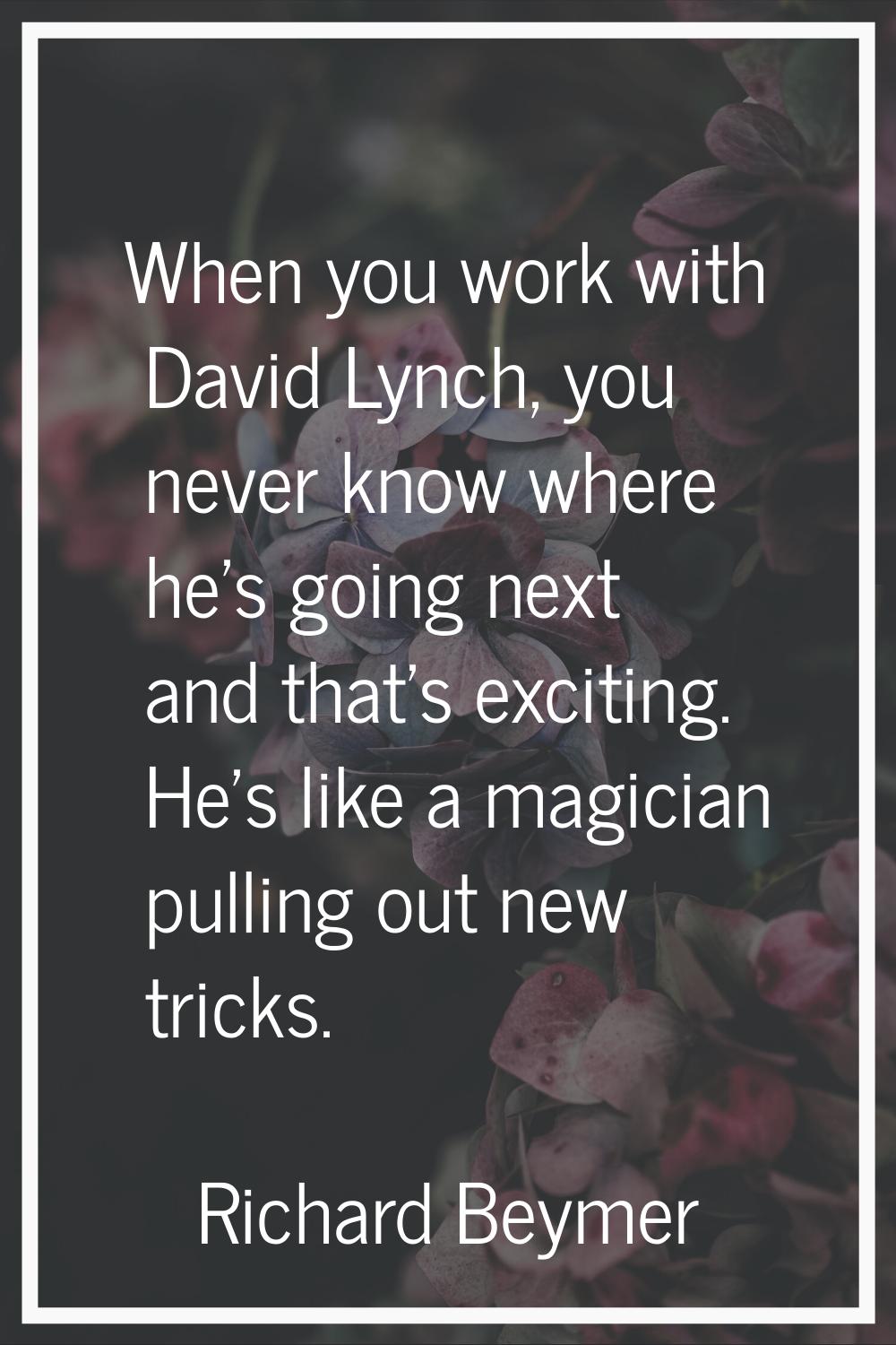 When you work with David Lynch, you never know where he's going next and that's exciting. He's like