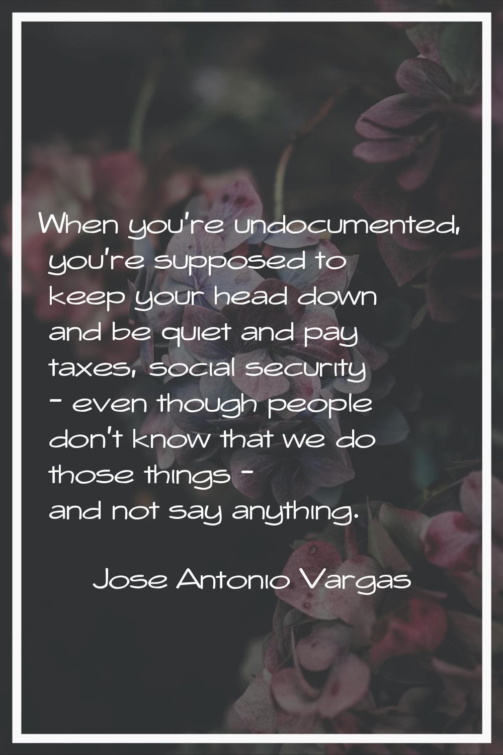 When you're undocumented, you're supposed to keep your head down and be quiet and pay taxes, social