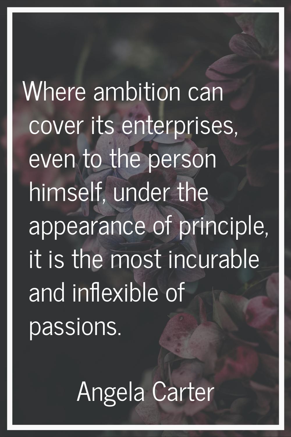 Where ambition can cover its enterprises, even to the person himself, under the appearance of princ
