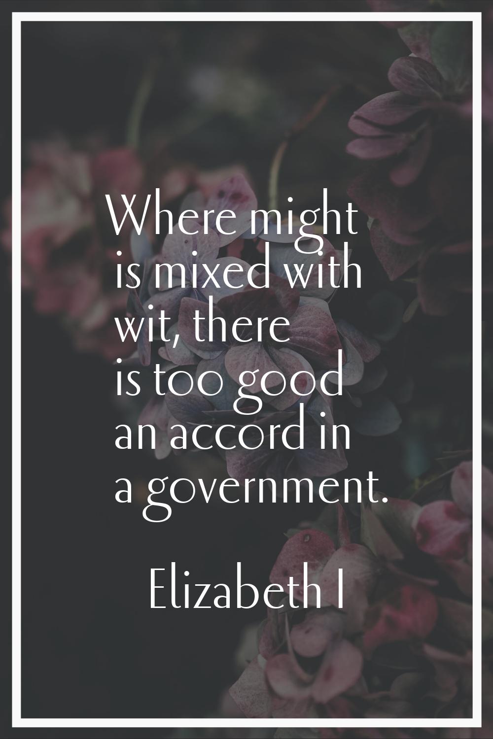 Where might is mixed with wit, there is too good an accord in a government.